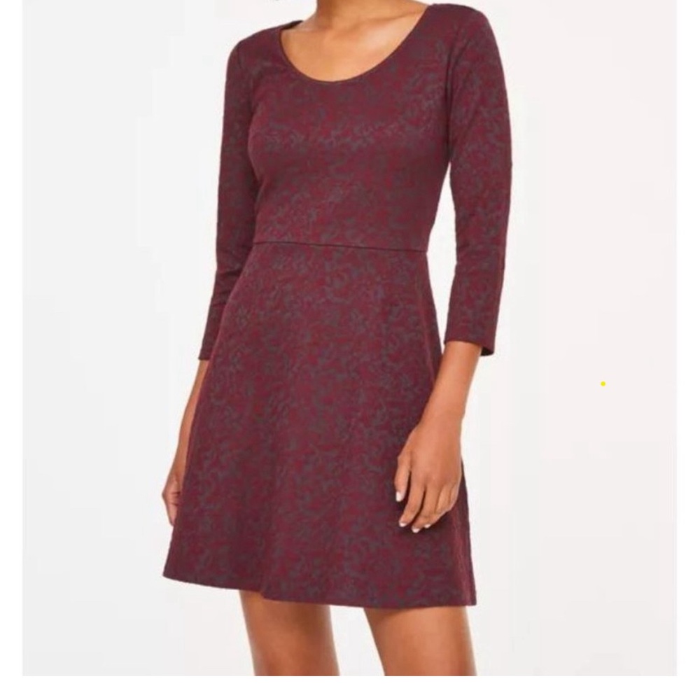 LOFT Raised Floral Embroidered Fit & Flare Dress